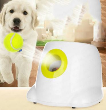 Automatic Interactive Dog Ball Launcher
